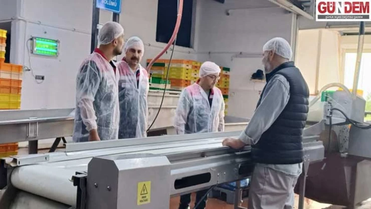 Enez'de su ürünleri tesislerinde denetim