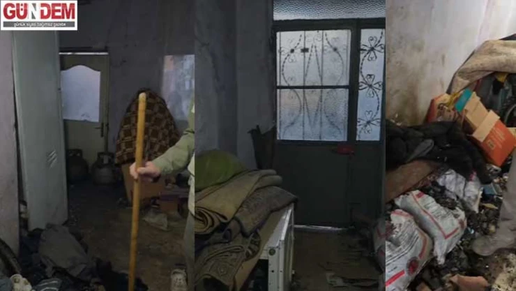 'Fareli Ev'de Yaşam Mücadelesi