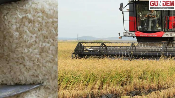 Gastronomi festivalinde İpsala pirincinden 6 ton pilav pişirilecek