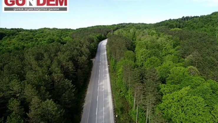 Istranca ormanları ziyaretçilerine görsel şölen sunuyor