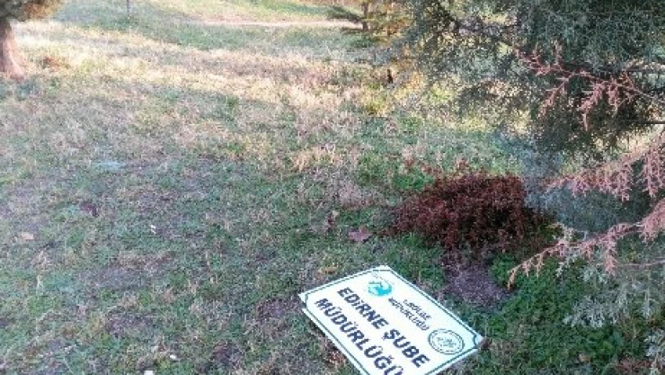 Geriye tabelası kaldı