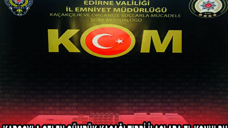 KARGOYLA GELEN GÜMRÜK KAÇAĞI TIBBİ İLAÇLARA EL KONULDU