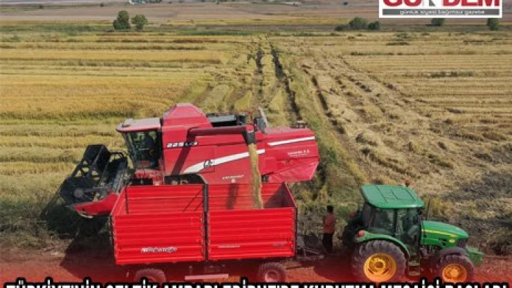 Türkiye'nin çeltik ambarı Edirne'de kurutma mesaisi başladı