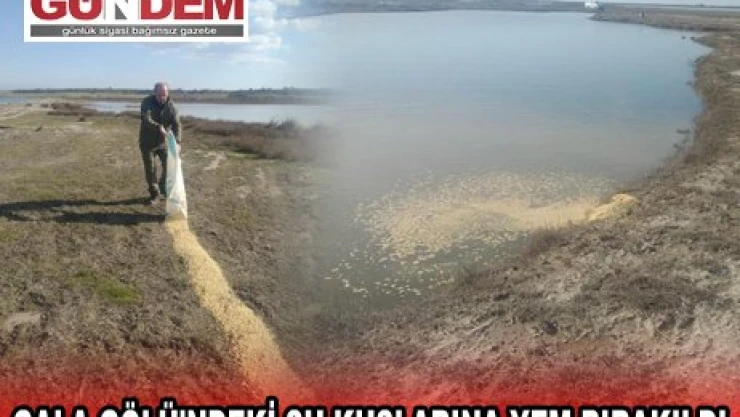 GALA GÖLÜ'NDEKİ SU KUŞLARINA YEM BIRAKILDI