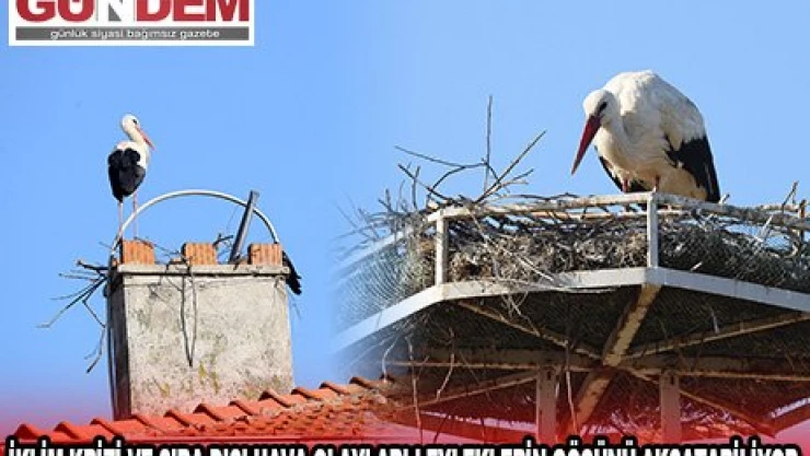 Jeoloji mühendislerinden uyarı