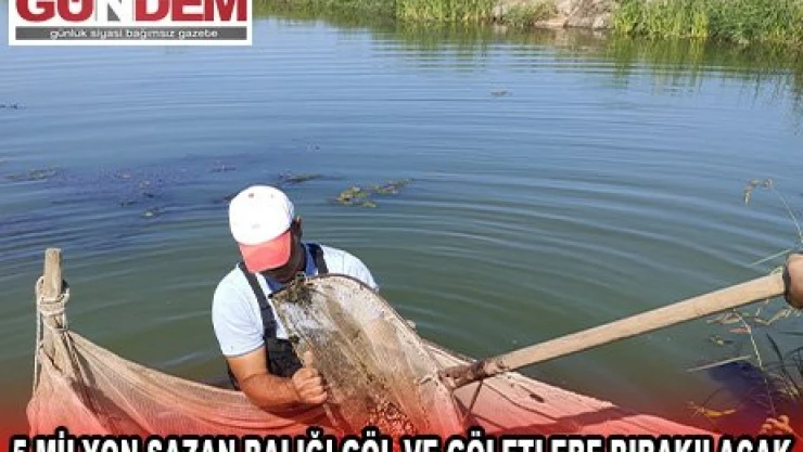 5 milyon sazan balığı göl ve göletlere bırakılacak