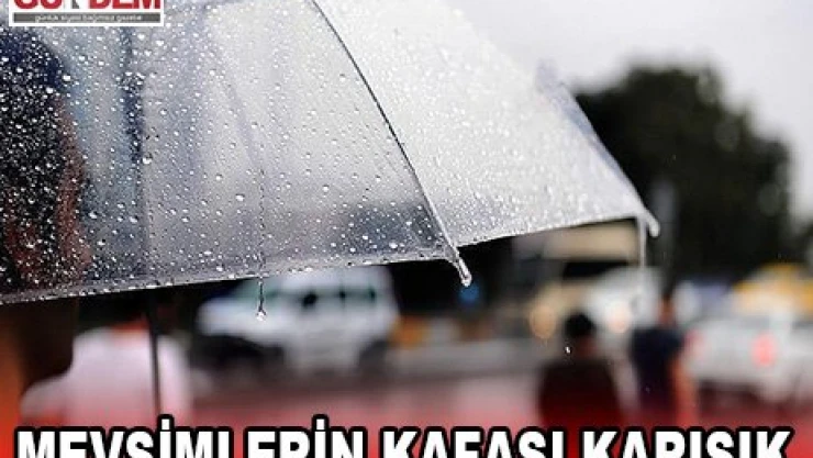Mevsimlerin kafası karışık