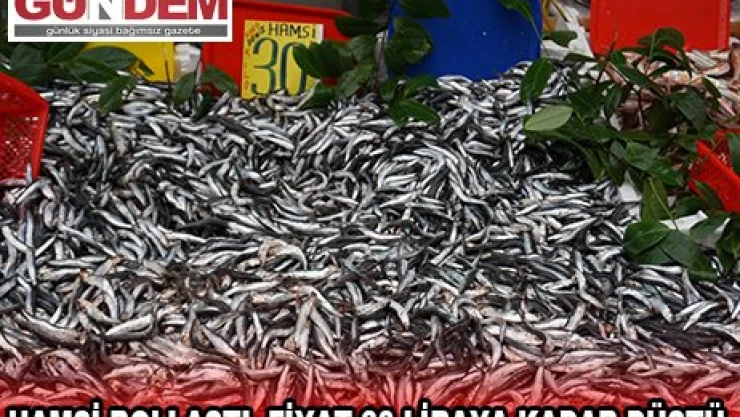 HAMSİ BOLLAŞTI, FİYAT 30 LİRAYA KADAR DÜŞTÜ