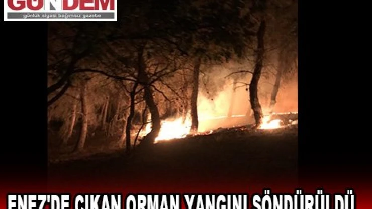 ENEZ'DE ÇIKAN ORMAN YANGINI SÖNDÜRÜLDÜ
