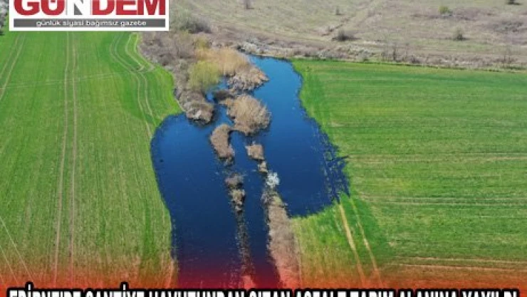 EDİRNE'DE ŞANTİYE HAVUZUNDAN SIZAN ASFALT TARIM ALANINA YAYILDI