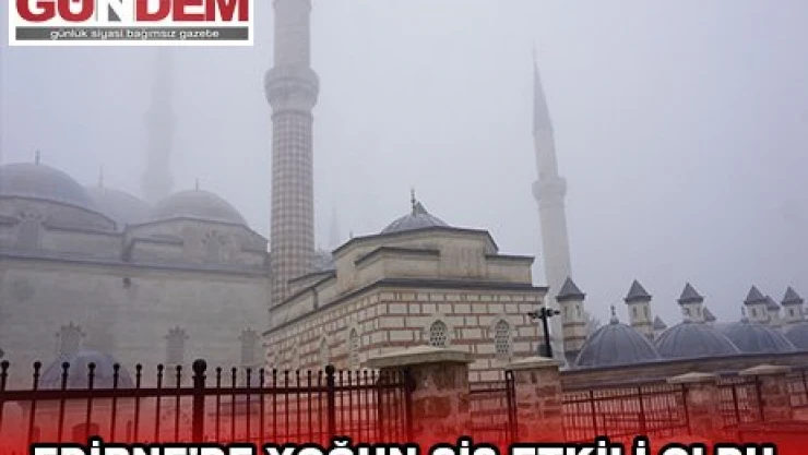 Edirne'de yoğun sis etkili oldu