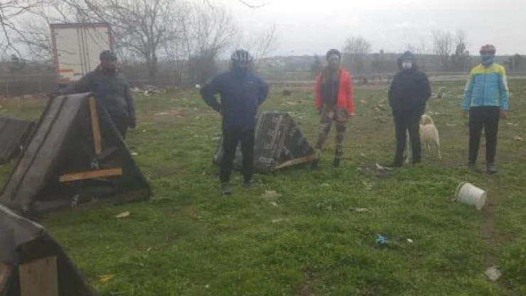 Sokak hayvanları için kulübe