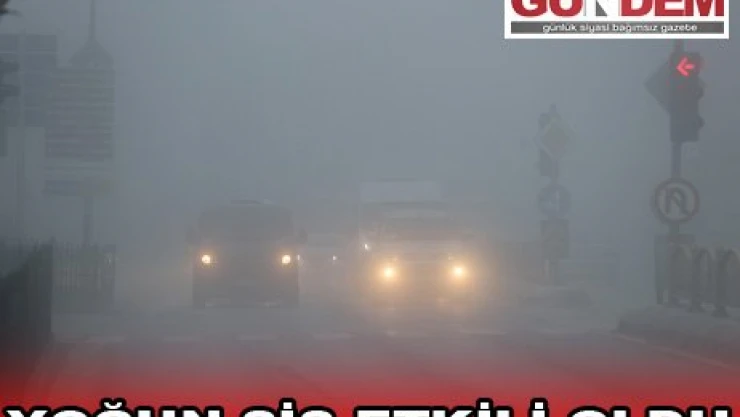 YOĞUN SİS ETKİLİ OLDU