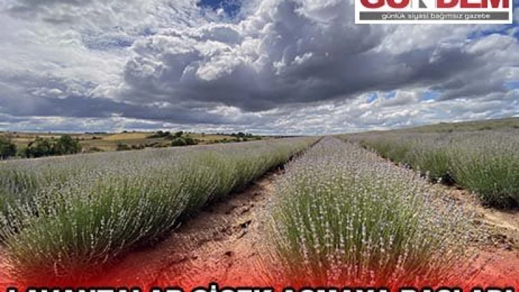 Gürkan'a 20 milyonluk yetki