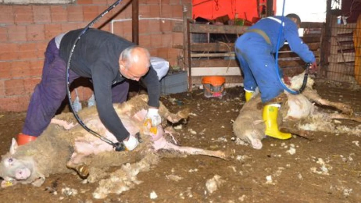 88 milyon TL'lik oybirliği