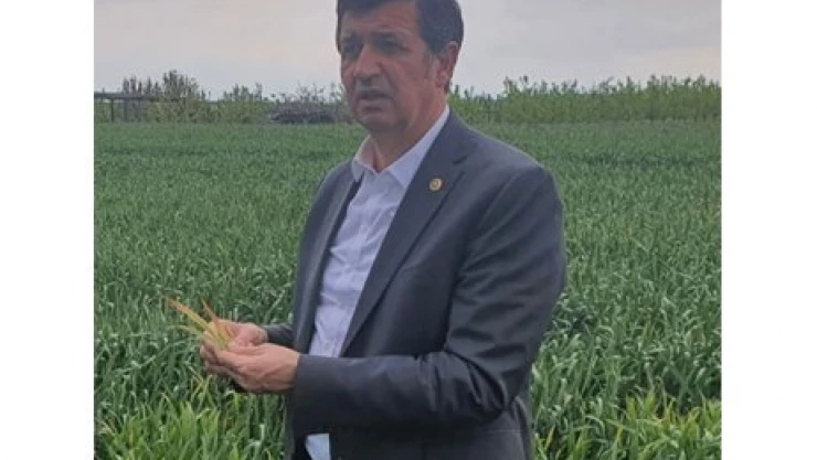 Gaytancıoğlu: Tonu 2 bin TL olmalıydı
