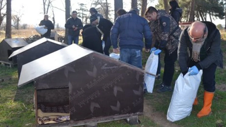 Sokaktaki canlara Dost Eli