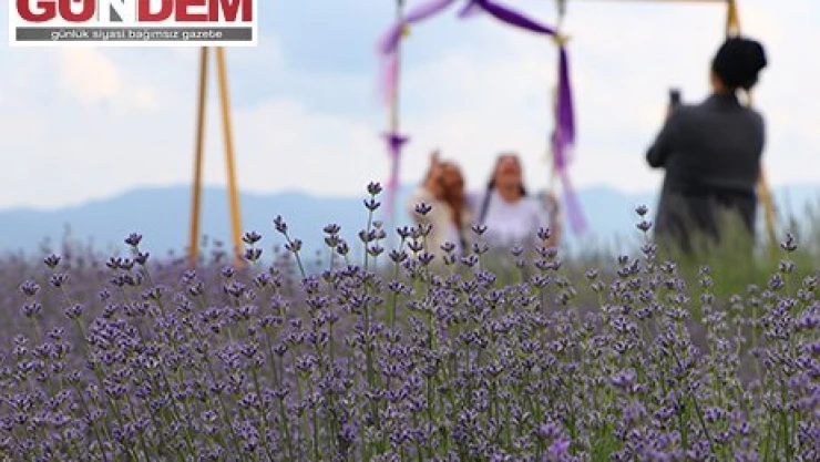 'Tekirdağ Lavanta Günleri' başladı.
