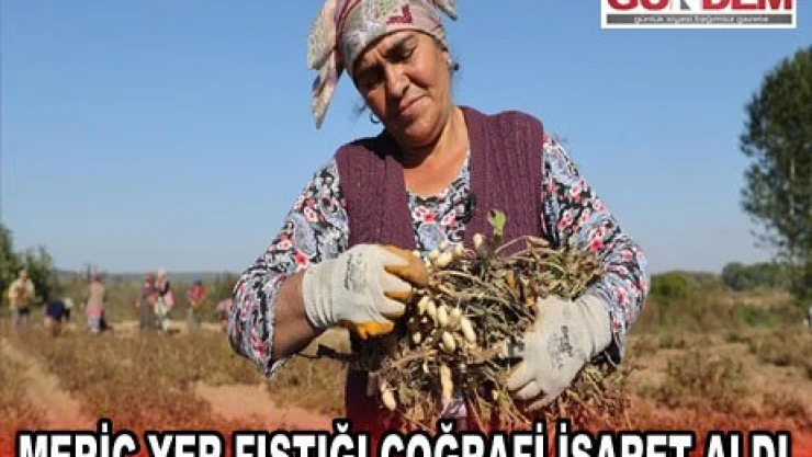 Edirne'de yetiştirilen Meriç yer fıstığı coğrafi işaret aldı