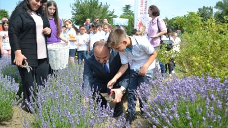 Tarım ve turizmde mor dayanışma