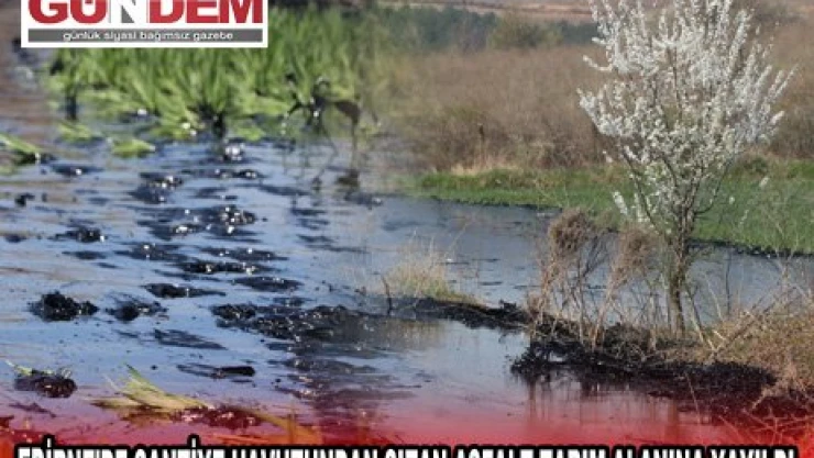 EDİRNE'DE ŞANTİYE HAVUZUNDAN SIZAN ASFALT TARIM ALANINA YAYILDI