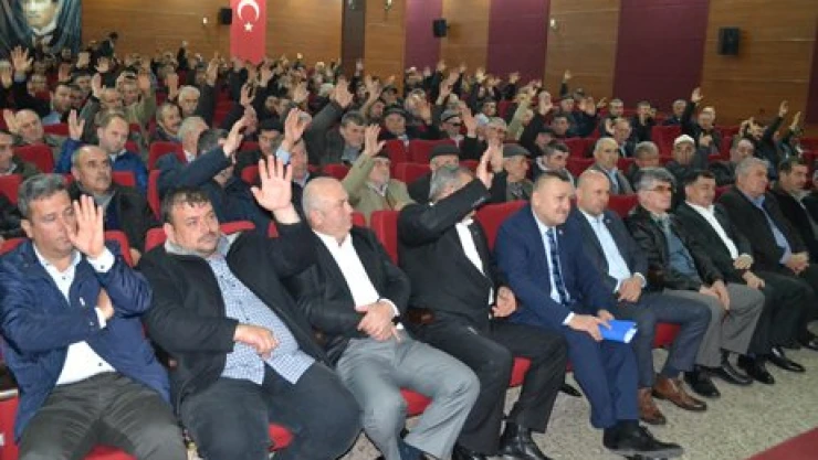 Pekcanlı ile yeniden