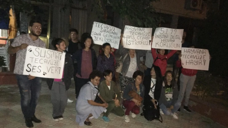 Hayvana tecavüz iddiası