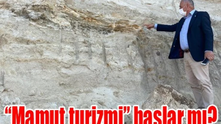 'Mamut turizmi' başlar mı?