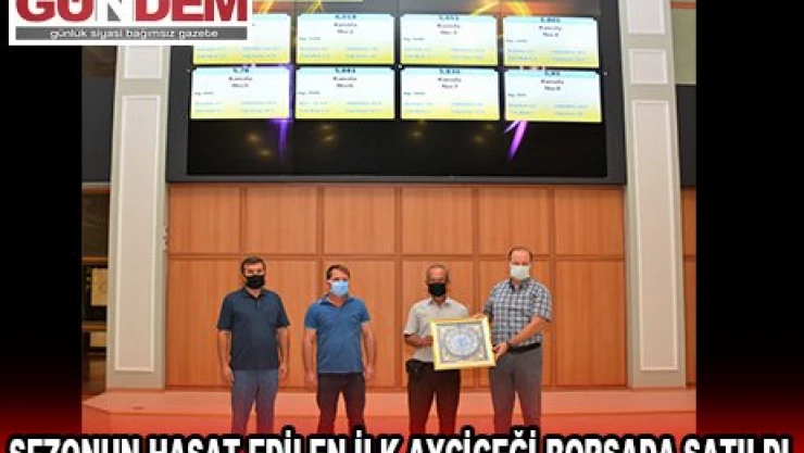 Sezonun hasat edilen ilk ayçiçeği borsada satıldı
