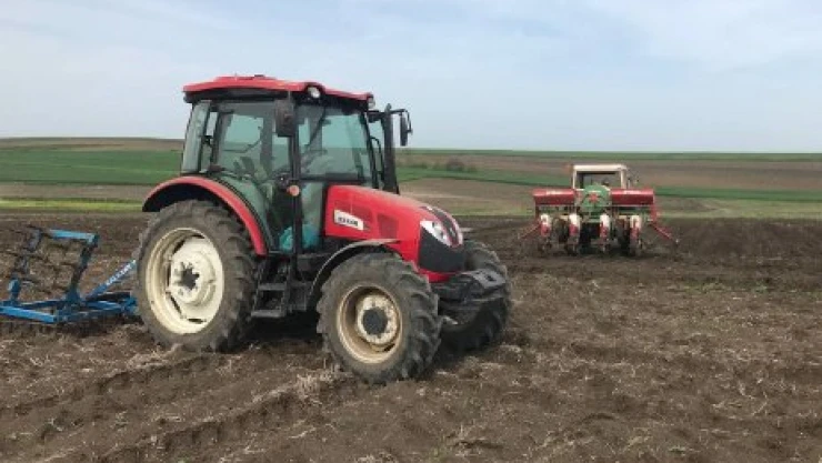 Ayçiçek tohumları toprakla buluştu