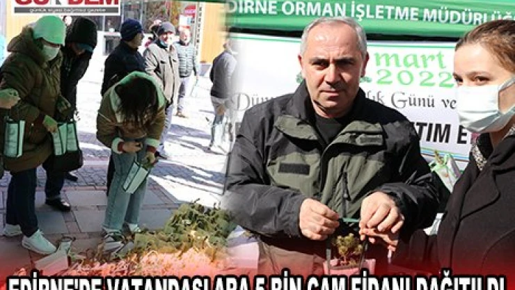 POPÜLASYONU ARTAN DANTEL BÖCEĞİYLE MÜCADELE
