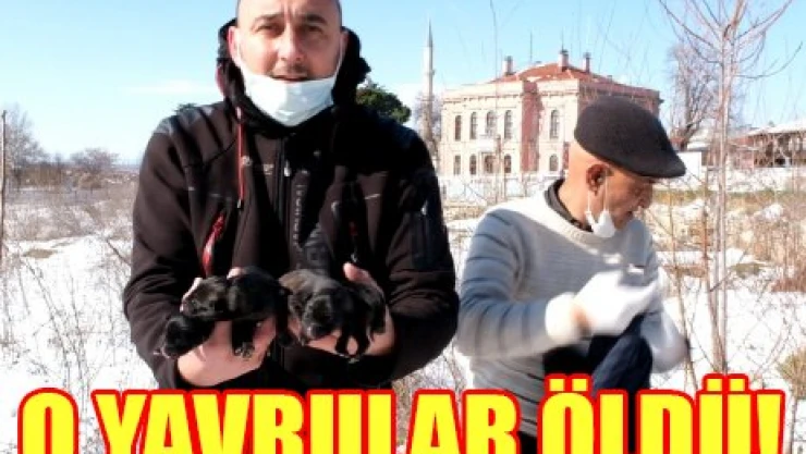 O YAVRULAR ÖLDÜ!