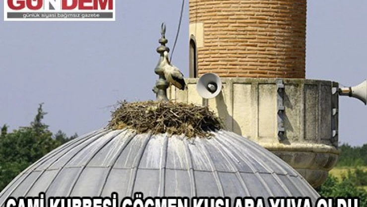 '˜Bakkal Amca' doğanın farkında