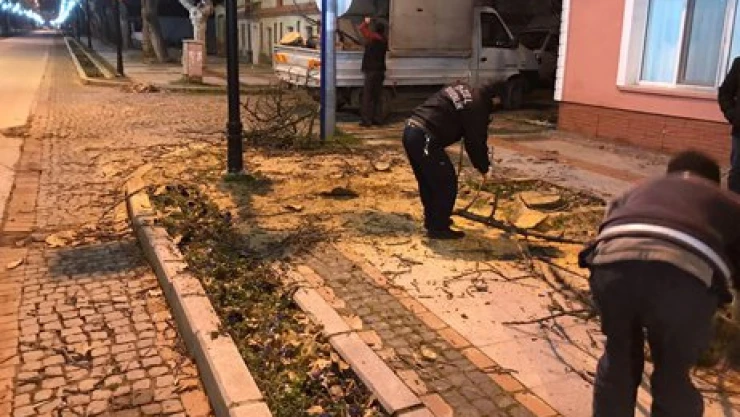 Tehlikeli ağaç kesildi