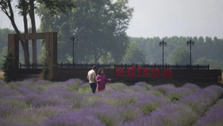 Lavantaya kontrollü ziyaret