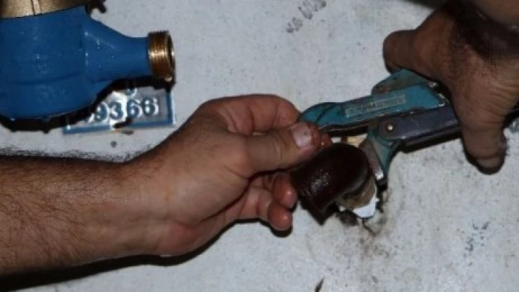 Sayaç fareleri yakalandı