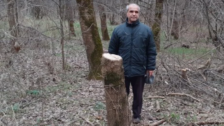 Şallı'dan Tavuk Ormanı için öneri