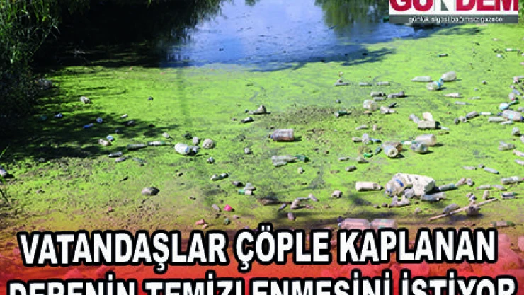 VATANDAŞLAR ÇÖPLE KAPLANAN DERENİN TEMİZLENMESİNİ İSTİYOR