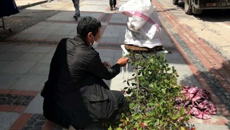 Saraçları arılar bastı