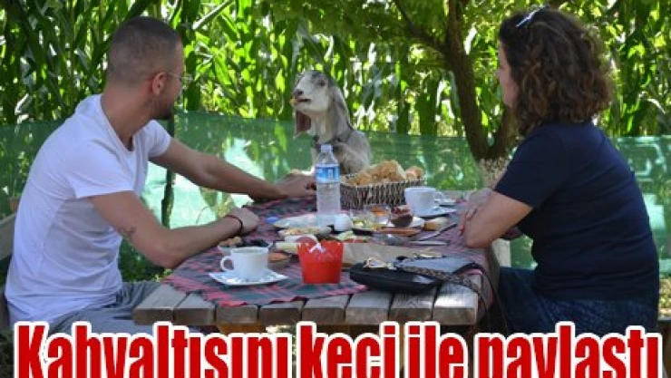 Keçi ile kahvaltısını paylaştı
