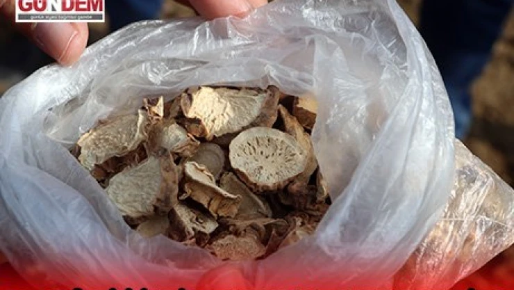 Kontenjan imzaları Bakana gönderildi
