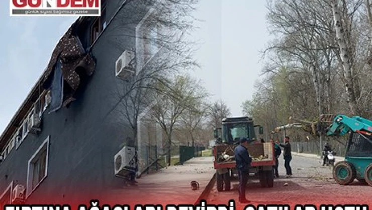FIRTINA AĞAÇLARI DEVİRDİ, ÇATILAR UÇTU