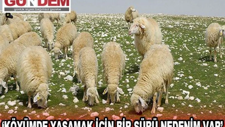 '˜Köyümde Yaşamak İçin Bir Sürü Nedenim Var'