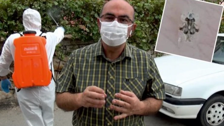 O böceğin insan sağlığına etkisi yok