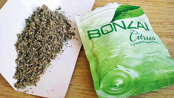 Uyuşturucu operasyonunda 4 gözaltı