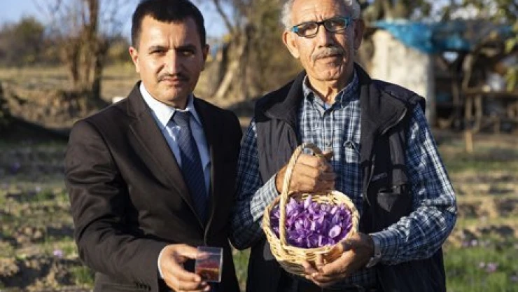 Safran Edirne'yi sevdi