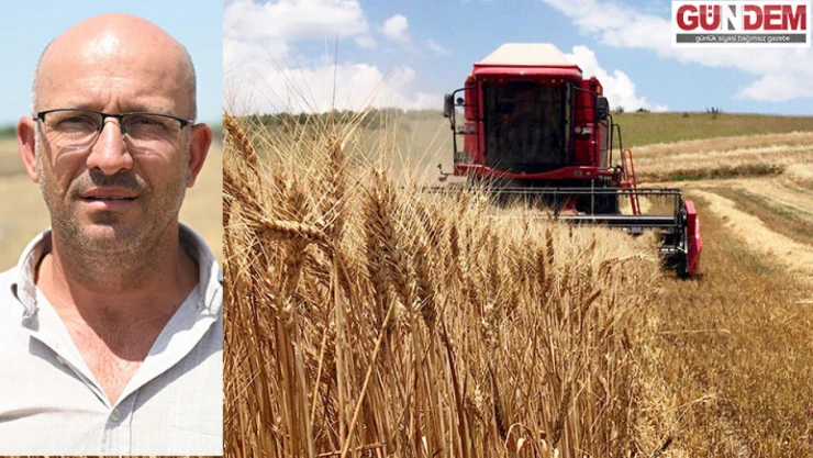 Hasatta sona yaklaşılan Trakya'da buğday üreticisi verimden memnun
