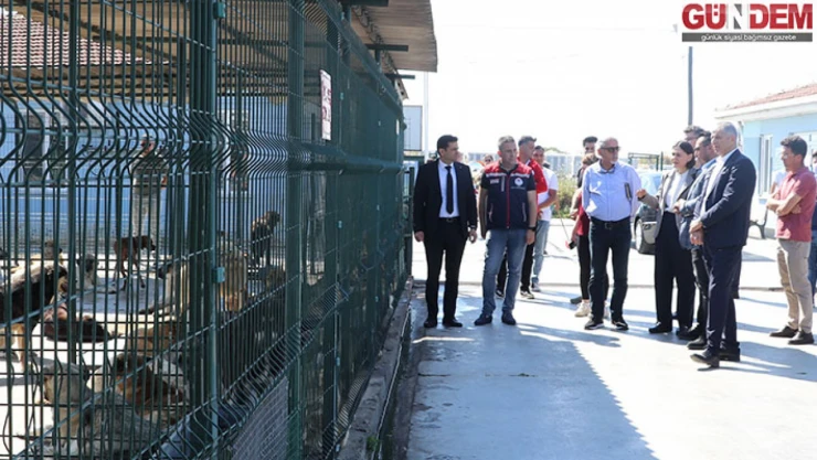 Hayvan barınakları incelendi