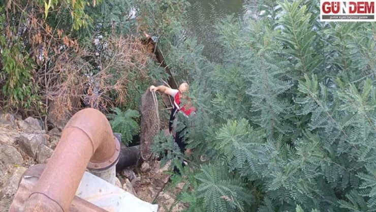 İç Sularda Su Ürünleri Denetimleri Aralıksız Sürüyor