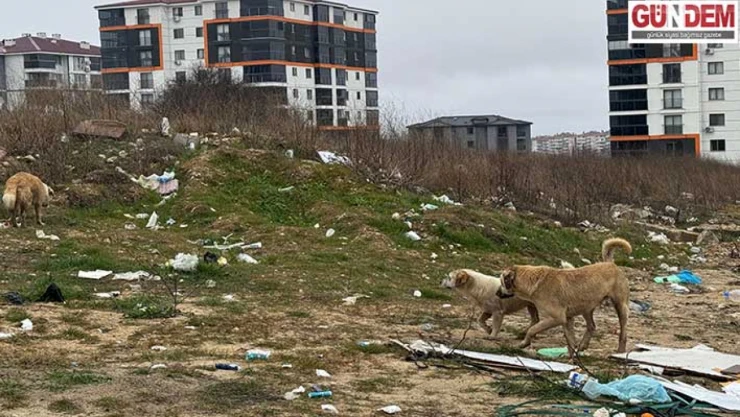 Kentin Makus Talihi Değişmiyor